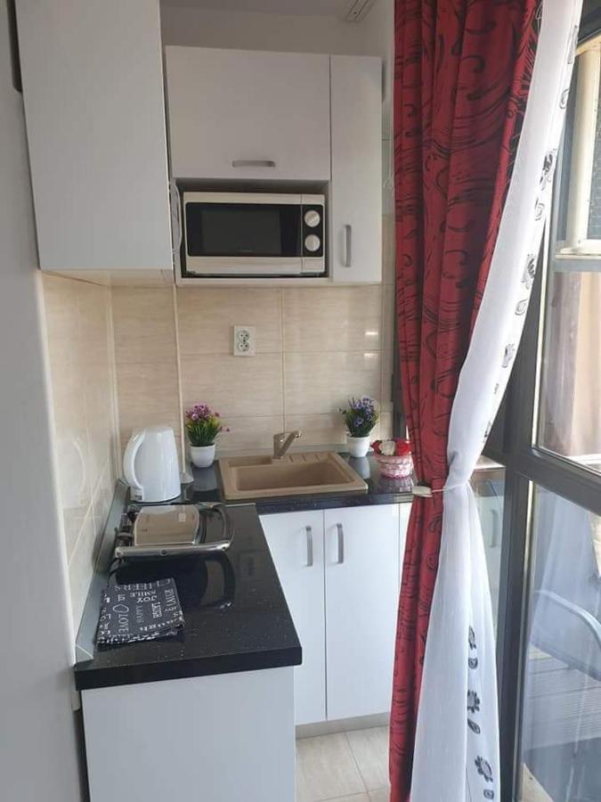 Apartament Alina Сатурн Экстерьер фото